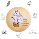 Photo de profil de Kiara, soins énergétiques animaliers   