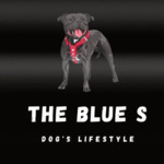 Photo de profil de THE BLUE S  