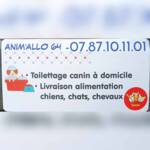 Photo de profil de Anim'Allo   