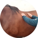 Photo de profil de Zen-Reikitude   